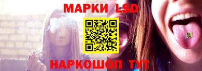 Альфа ПВП Новодвинск