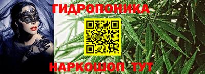 МДМА Новозыбков