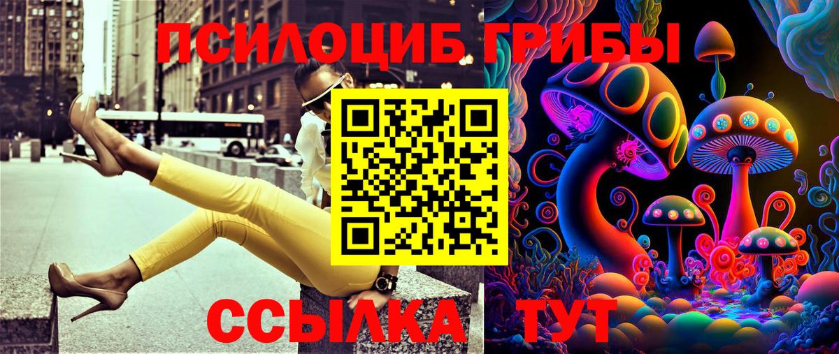 Псилоцибиновые грибы ЛСД Сертолово